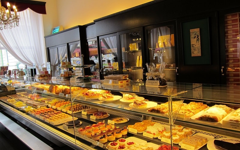 Social Sciences Conference