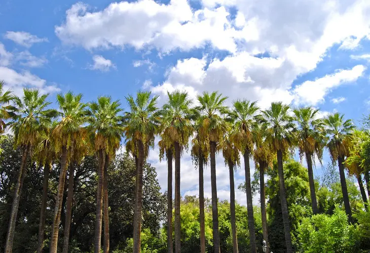 Social Sciences Conference